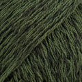 BELLE UNI COLOUR 35 dark forest